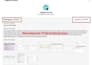 tiktok dropshipping shop setup, tiktok shop integration, tiktok shop expert